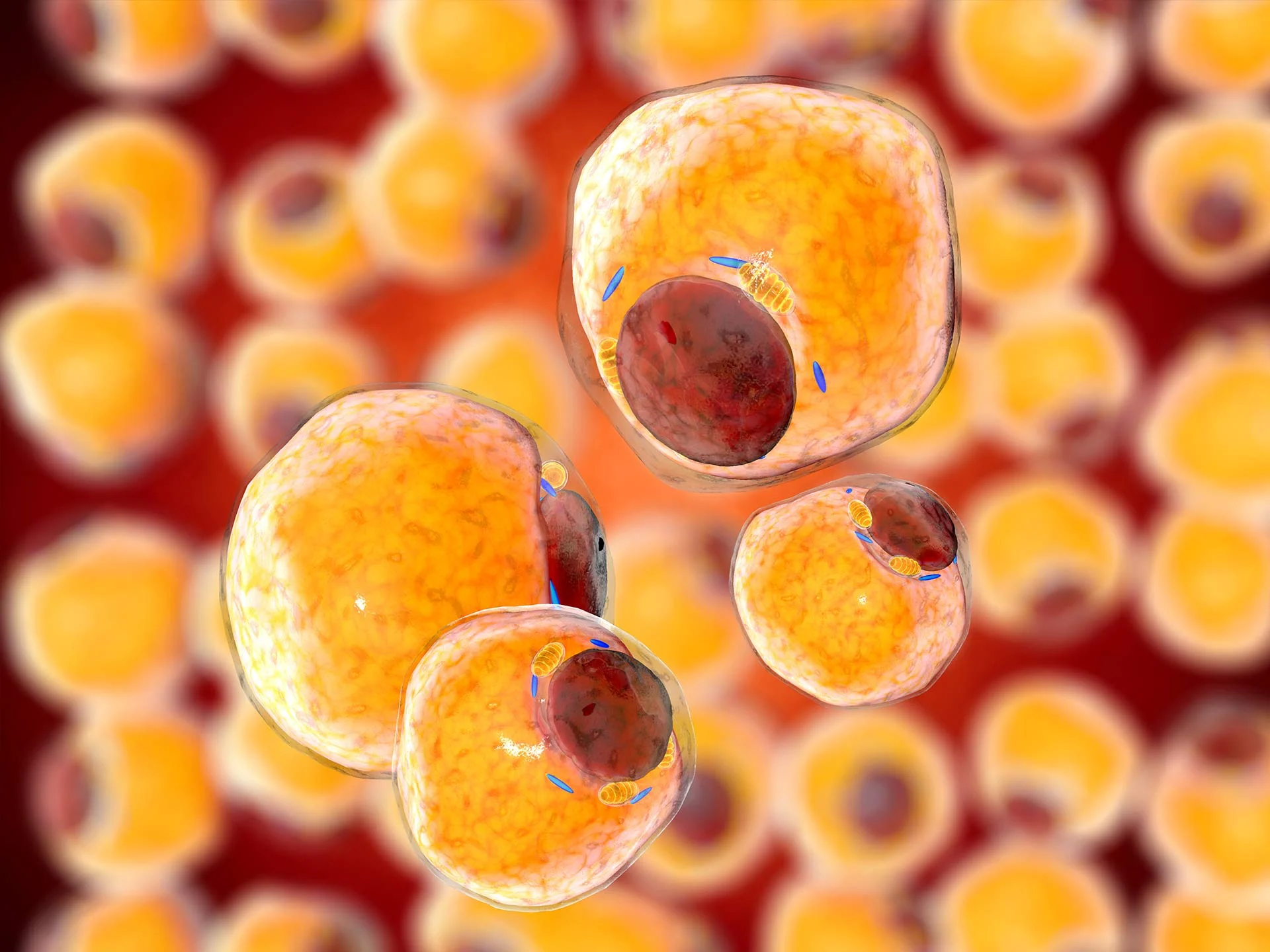 Beyond Insulin: The Global Quest for a Biological Diabetes Cure